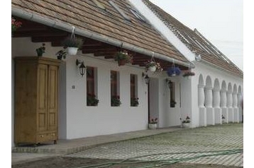 Унгария Privát Ganna, Екстериор